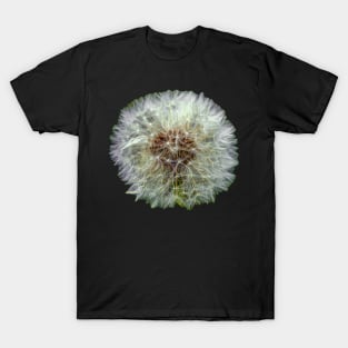 Dandelion Clock T-Shirt